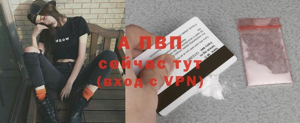 хмурый Волоколамск