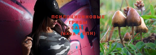 хмурый Волоколамск