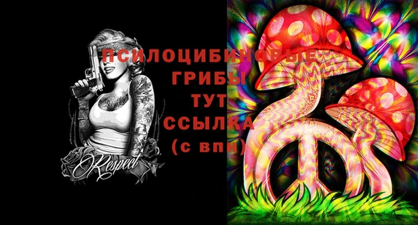 хмурый Волоколамск
