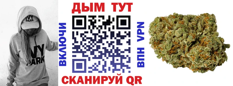 Бошки марихуана гибрид  Каргополь 